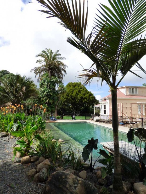 Natural Pool, Auckland Natural Pools NZ