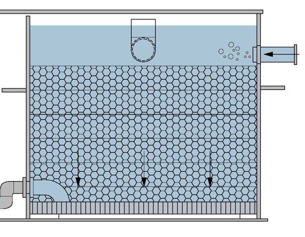 chemical free swimming pool biofilter
