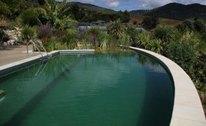 natural swimming pools, chemical free