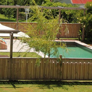 solid timber pool fence