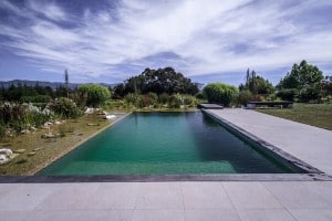 Swimming pools with no chemicals