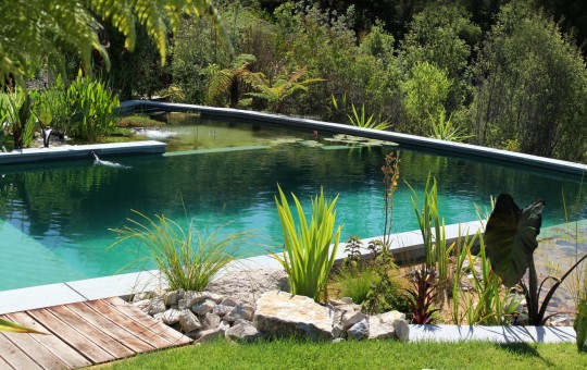 Natural Pool, Kaiteriteri