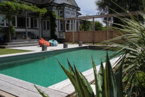 Living swimming pool, chemical free
