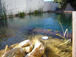 chemical free swimming pool nz