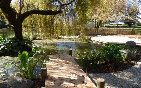 Garden Pond, Tasman