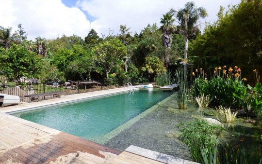 Natural Pool, Auckland