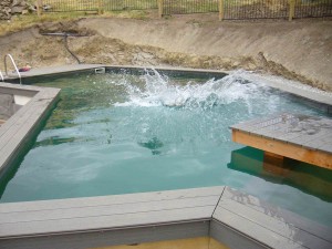 chemical free swimming pool